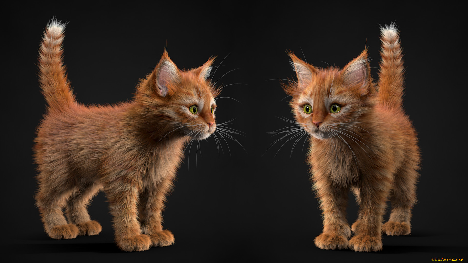 3 ,  , animals, , , 